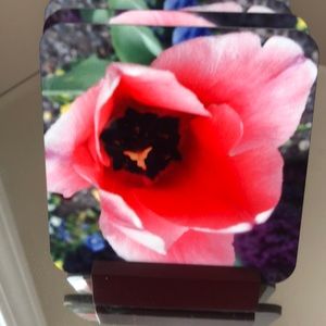 Floral pink coasters